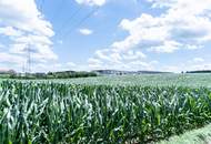 Perfektes Gewerbegrundstück mit Grünblick in Wolfern