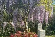 Sonniges und top gepflegtes Einfamilienhaus mit Eigengarten in Ruhelage