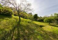 Einzellagenjuwel - 2.500m2 Grundstück zwischen den Weinreben am Nußberg