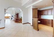 Extravagantes Penthouse an der Donau mit fantastischem Wienblick