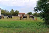 Zentrumsnaher Grund in Ruhelage!
