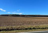 Landwirtschaftliche Fläche (ein Grundstück mit ca. 9,2 ha) - BEZIRK OBERWART!