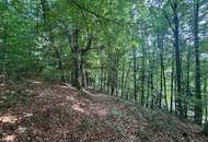 Idyllisches Grundstück am Ende einer Sackgasse – sonniger Bauplatz mit eigenem Wald