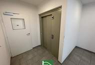 Wohnen im Einklang von Stadt und Natur – Ihre neue Adresse in Wiener Neustadt