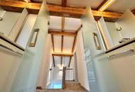 Haus mit zwei Wohnungen auf ca. 820 m² Traumgrundstück mit Berg & Flussblick