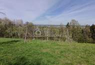 Am beliebten Rosenberg! Altes Bauernhaus in unverbaubarer, ruhiger, sonniger Lage mit großem Baulandgrundstück