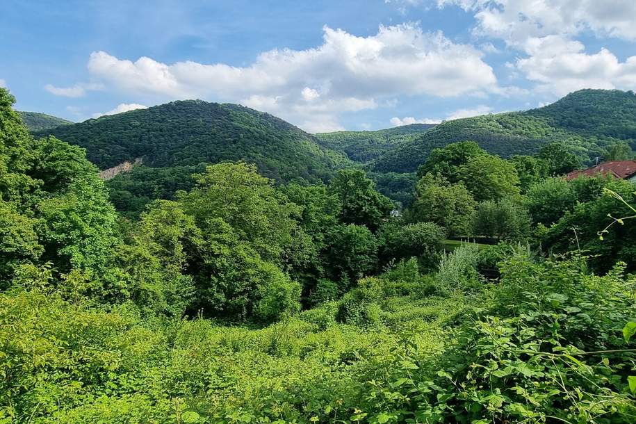 Rarität in Toplage – Baugrundstück mit Fernblick in Kaltenleutgeben, Grund und Boden-kauf, 399.000,€, 2391 Mödling