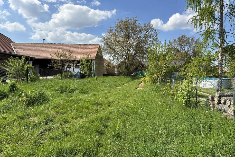 "Sonniger Baugrund mit Ackerbonus", Grund und Boden-kauf, 149.000,€, 3710 Hollabrunn