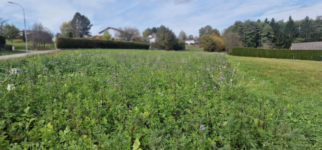 Grundstück im schönen idylischen Südburgenland.