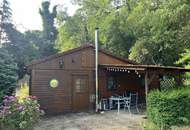 Natur pur - Holzblockhaus eingebettet in sonniger Ruhelage