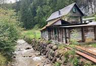Für Bastler und kreative Köpfe, kleines Landhaus für Naturliebhaber!