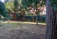 Altbau trifft Grünidylle: 73-m²-Wohnung mit großer Veranda & Garten