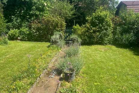 Am Hackenberg Kamm- Kleingartengrundstück im Eigentum- Ruhelage am Rande der Siedlung, Grund und Boden-kauf, 385.000,€, 1190 Wien 19., Döbling