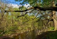 FRISCH SANIERT! NATURNAHES FAMILIENIDYLL - PREISGÜNSTIGE 3-ZIMMER-WOHNUNG MIT PARKPLATZ AN DER STADTGRENZE