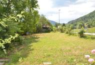 Charmantes Einfamilienhaus mit großem Naturgarten, Gewölbekeller und herrlichem Ausblick