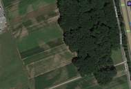 Riesen Potenzial - ca. 1h großes GEWERBEGRUNDSTÜCK 0,3 - 2,0 Dichte mit direkter Nähe zur Autobahn und zur Eisenbahn! Alternativen in der Umgebung auch verfügbar!