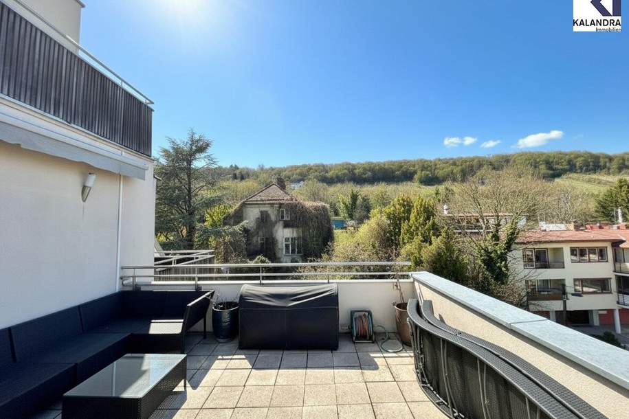360° TOUR // LUXUS-DACHTERRASSEN-WOHNUNG mit FERNBLICK, Wohnung-miete, 2.499,95,€, 1190 Wien 19., Döbling