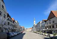 Frisch renovierte Wohnung in der Altstadt: Ab sofort verfügbar!