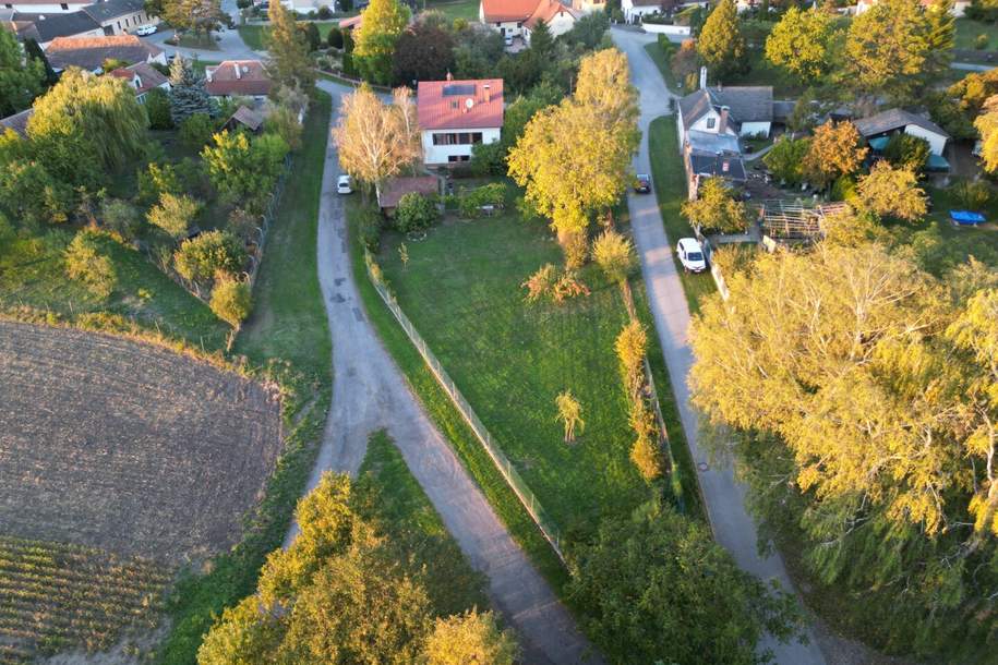 Geplante Bauparzelle mit ca. 1000 m² in Schönabrunn, Grund und Boden-kauf, 95.000,€, 2471 Bruck an der Leitha