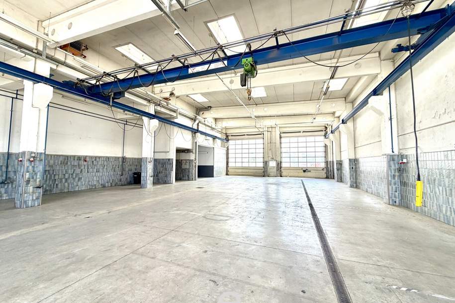 Lager und Produktionsfläche direkt an der B1 in Wels, Gewerbeobjekt-miete, 4600 Wels(Stadt)
