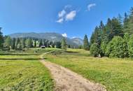 Bad Mitterndorf: Almhütte!! auf Eigengrund mit Nebengebäuden