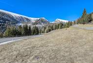 ALM-CHALET 1 - Freizeitwohnsitz in Toplage