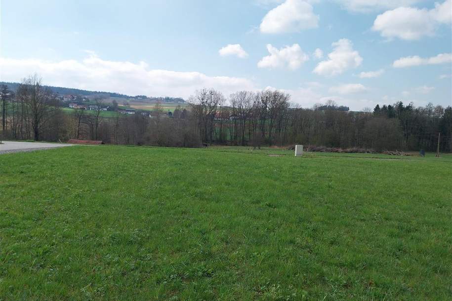 Baugrund in Neubausiedlung, Grund und Boden-kauf, 71.000,€, 4942 Ried im Innkreis