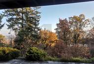 VOM LUXUS REPRÄSENTATIVEN LEBENS - GEFÜHLTE ALLEINLAGE