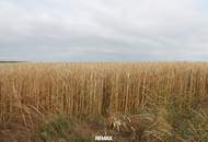 "Landwirte aufgepasst!"