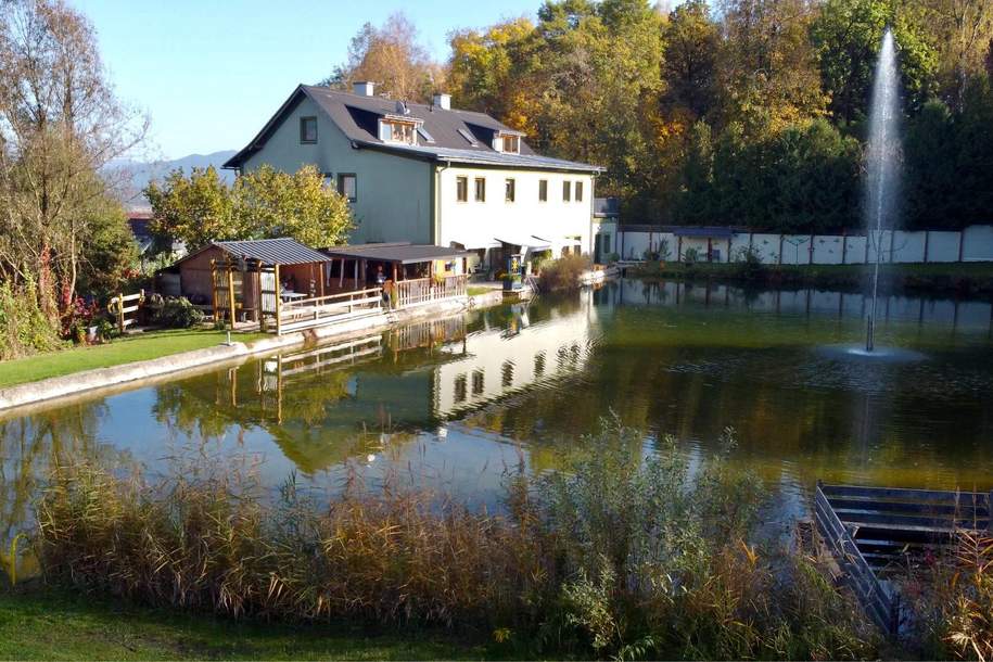 Mietwohnhaus mit Naturbadeanlage und Wasserrecht!, Gewerbeobjekt-kauf, 9300 Sankt Veit an der Glan