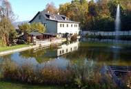 Mietwohnhaus mit Naturbadeanlage und Wasserrecht!