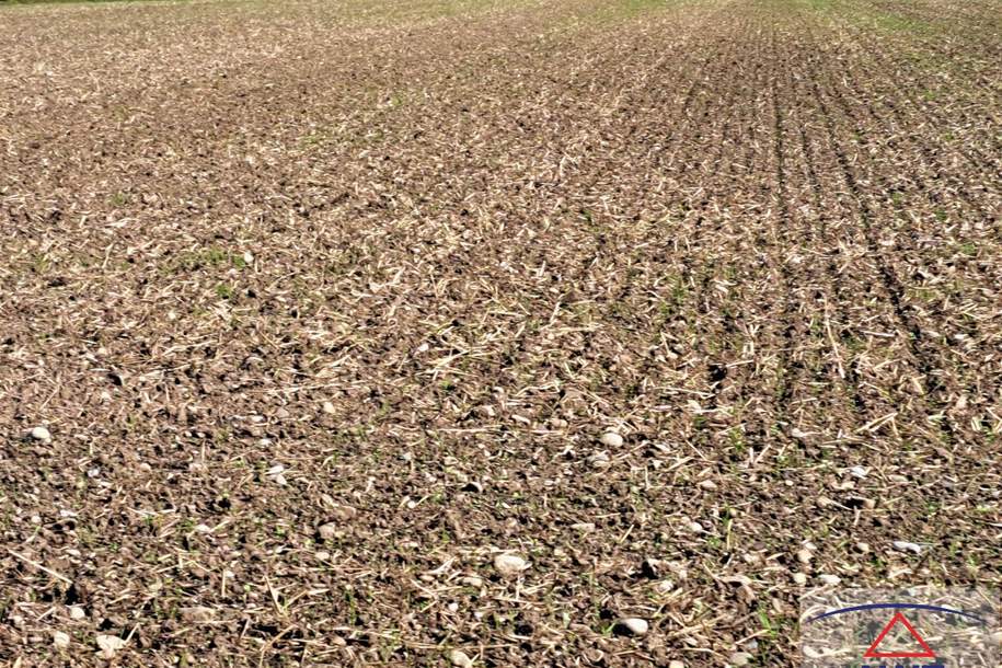 Mögliches Bauerwartungsland in bester Lage!, Grund und Boden-kauf, 3300 Amstetten
