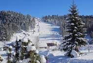 GOLDEN EAGLE - ein außergewöhnliches &amp; exklusives Rundholzchalet