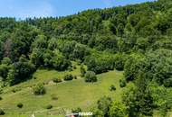 Großzügige Waldfläche nahe Thalersee