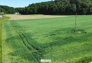 Sonniges Grundstück in Alleinlage