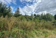 Baugrund in Kleinsitzendorf sucht Visionär - Traumgegend, Traumplatz, Traum wird wahr!