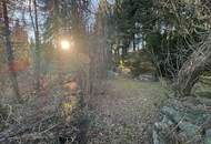 Fischer Paradies - Blockhaus mit Fischteich