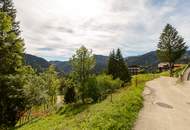 Ankommen und Ausspannen auf 950 m² Naturglück