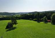 Zum Verkauf steht ein zusammenhängendes Landwirtschafts- und Waldgrundstück mit Holzhaus