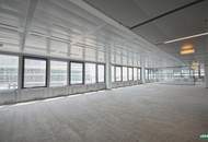 Modernes Arbeiten im Ares Tower!