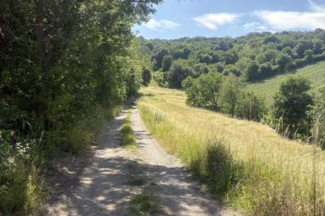 Grünland mit Zufahrt und Aussicht, Grund und Boden-kauf, 65.000,€, 3400 Tulln