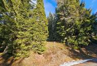 "Rarität im Zirbenland" Grundstück in St. Anna am Lavantegg