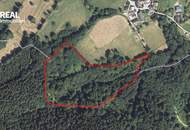 Mischwald zu verkaufen