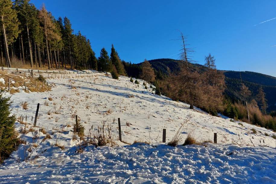 Bauland Kurgebiet und Grünland auf der Koralm, Grund und Boden-kauf, 1.599.930,€, 9400 Wolfsberg