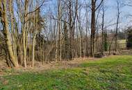 Wald und Wiese