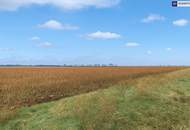 Modernes Wohnen in Massivbauweise – Einfamilienhäuser mit durchdachtem Raumkonzept in Wien-Nähe in Deutsch Wagram – freier Blick ins Grüne + unverbautes Gegenüber!