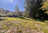 Rarität! Ca. 1.548 m² großes, ruhiges Grundstück - Stadtrandnähe, nur 10 Minuten vom LKH entfernt!