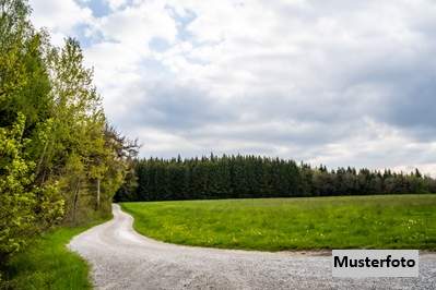Land- und forstwirtschaftliche Grundstücke, Grund und Boden-kauf, 23.900,€, 8081 Leibnitz