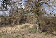 Aussichts-Hang-Baugrundstück aufgeschlossen, OHNE Bauzwang und OHNE Bebauungsplan!