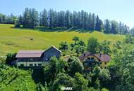 Sonne, Ruhe und Weitblick - IHR TRAUMPLATZ AM HAMBERG